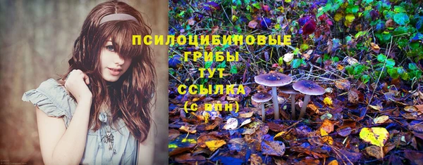 МДМА Абаза