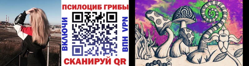 Галлюциногенные грибы мицелий  Щёлкино 